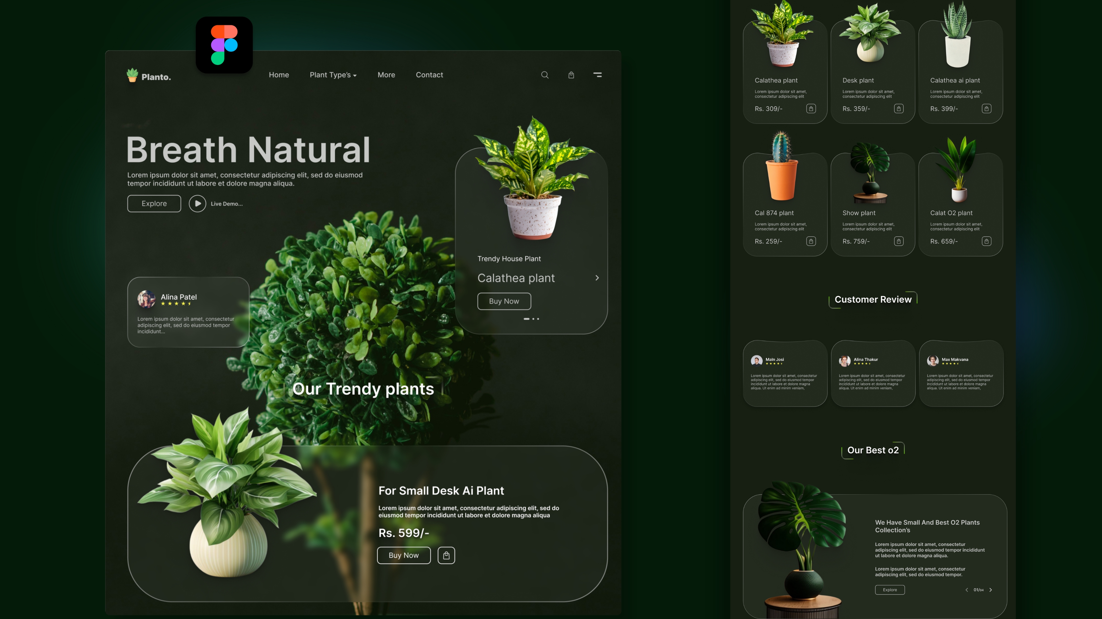 Interactive Portfolio Website: Figma UI Design Tutorial for Beginners | Step-by-Step Guide