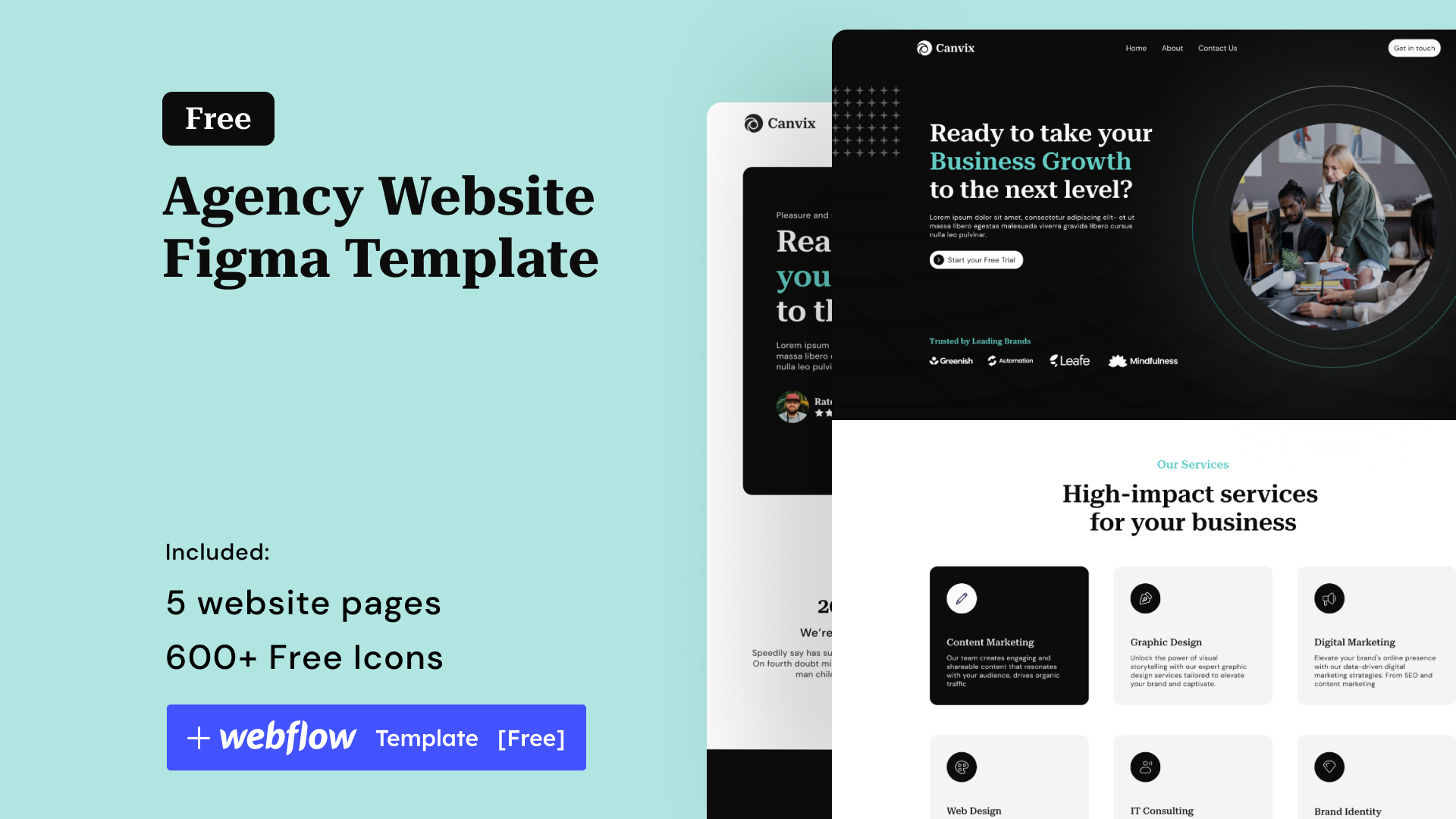 Free Template for Agency Website
